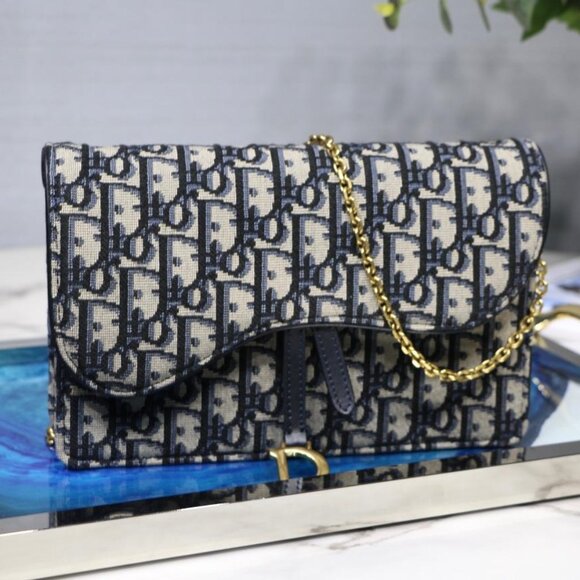 Dior Saddle Pouch - Picture 1 of 7